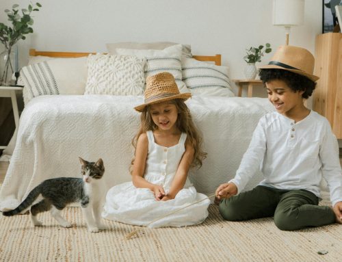 How to Move Safely with Kids and Pets in Seattle